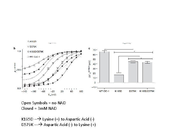 Open Symbols = no NAD Closed = 3 m. M NAD K 195 D