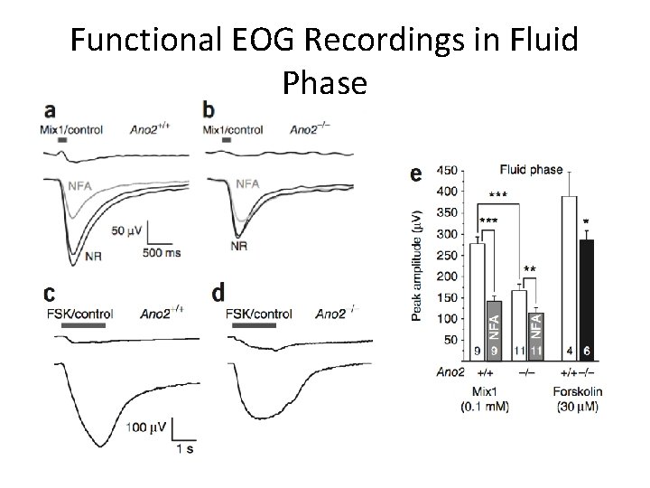 Functional EOG Recordings in Fluid Phase 