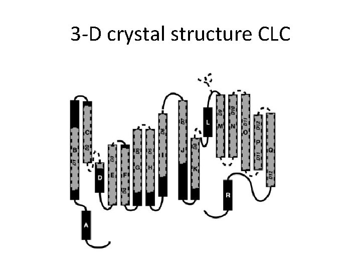 3 -D crystal structure CLC 