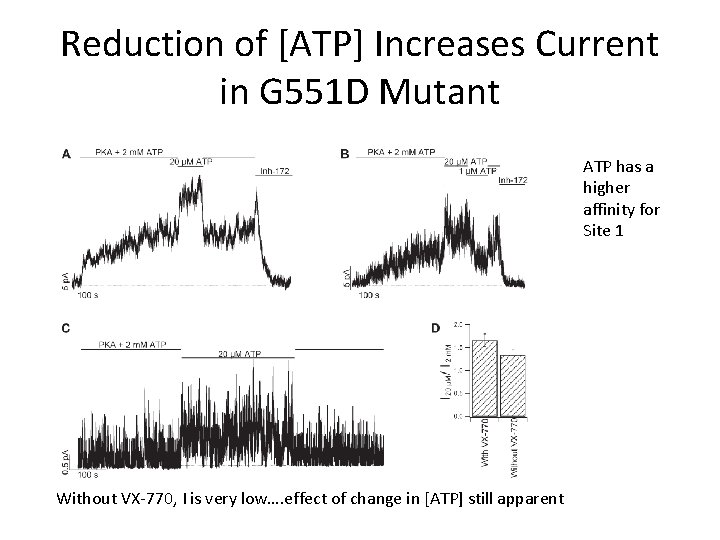 Reduction of [ATP] Increases Current in G 551 D Mutant ATP has a higher