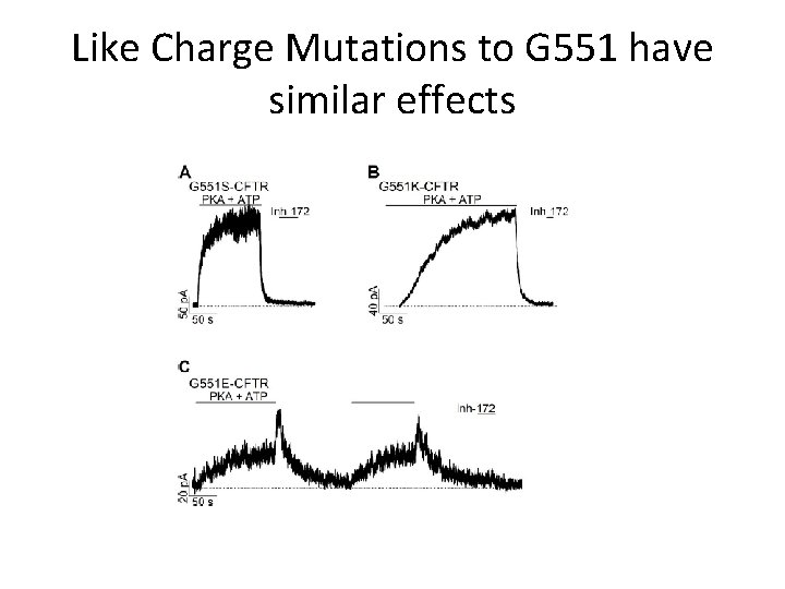 Like Charge Mutations to G 551 have similar effects 