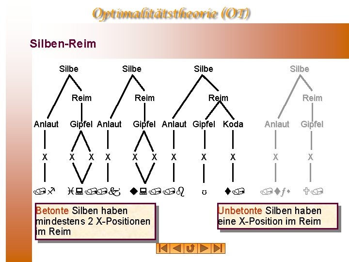 Silben-Reim Silbe Anlaut X /f Silbe Reim Gipfel Anlaut Gipfel Koda X X X