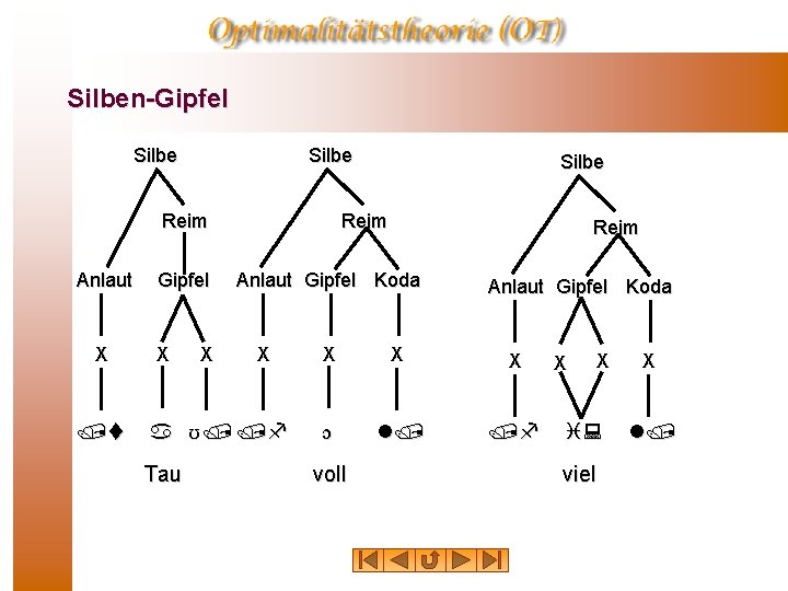 Silben-Gipfel Silbe Reim Anlaut X /t Gipfel X X Reim Anlaut Gipfel Koda X