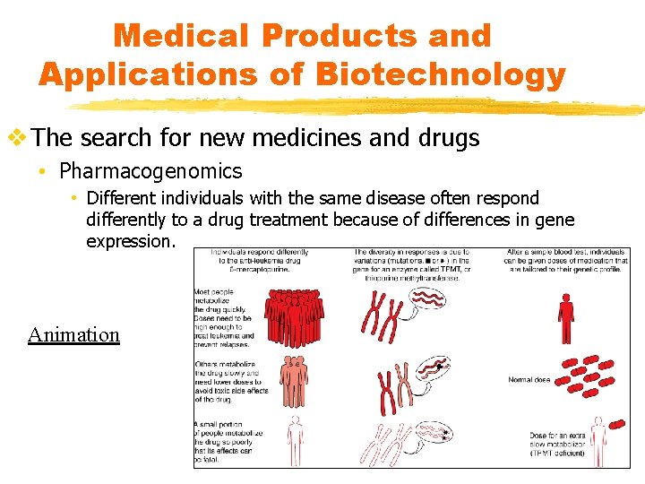 Medical Products and Applications of Biotechnology v The search for new medicines and drugs