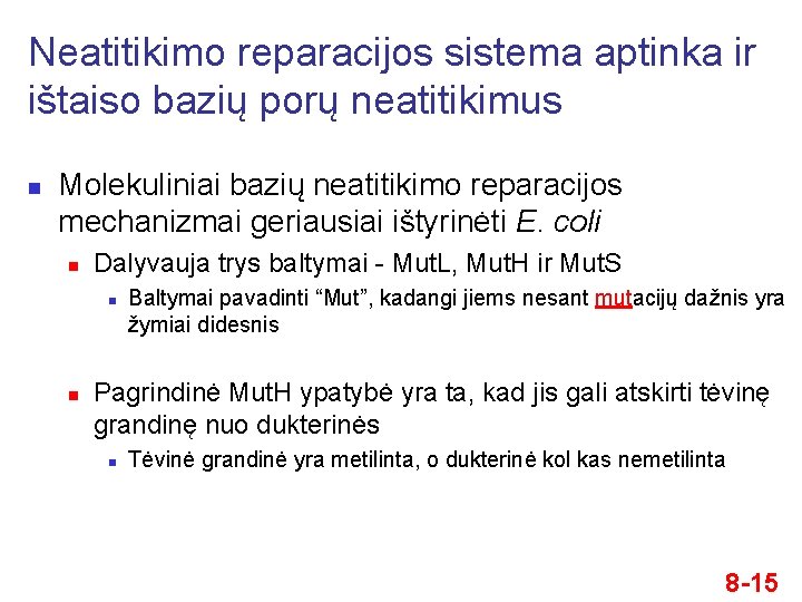 Neatitikimo reparacijos sistema aptinka ir ištaiso bazių porų neatitikimus n Molekuliniai bazių neatitikimo reparacijos