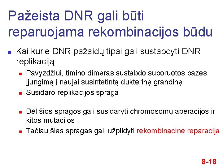 Pažeista DNR gali būti reparuojama rekombinacijos būdu n Kai kurie DNR pažaidų tipai gali