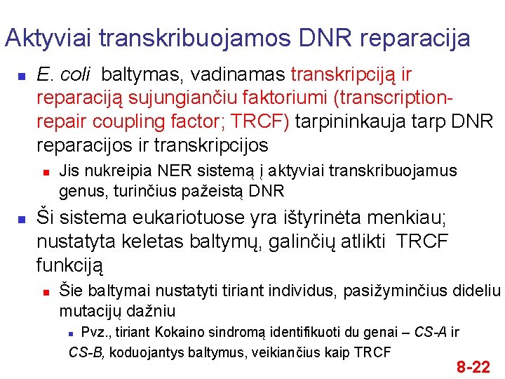 Aktyviai transkribuojamos DNR reparacija n E. coli baltymas, vadinamas transkripciją ir reparaciją sujungiančiu faktoriumi