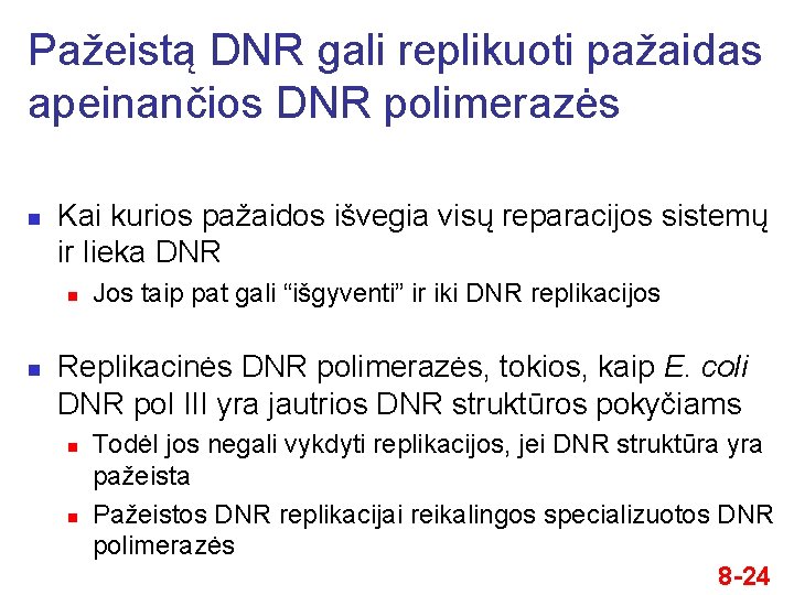 Pažeistą DNR gali replikuoti pažaidas apeinančios DNR polimerazės n Kai kurios pažaidos išvegia visų