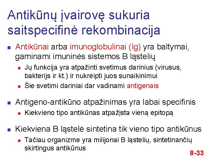 Antikūnų įvairovę sukuria saitspecifinė rekombinacija n Antikūnai arba imunoglobulinai (Ig) yra baltymai, gaminami imuninės