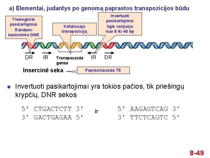 a) Elementai, judantys po genomą paprastos transpozicijos būdu Tiesioginiai pasikartojimai Randami šeimininko DNR Invertuoti