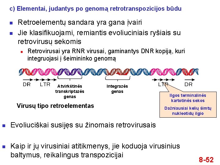 c) Elementai, judantys po genomą retrotranspozicijos būdu n n Retroelementų sandara yra gana įvairi