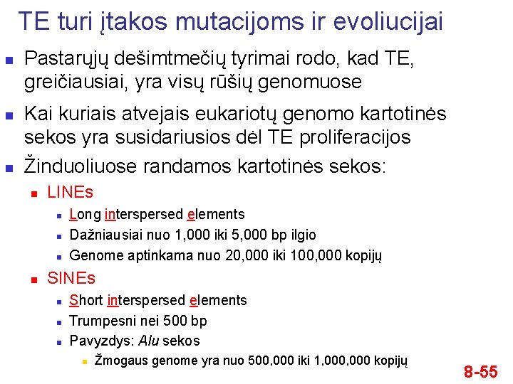 TE turi įtakos mutacijoms ir evoliucijai n n n Pastarųjų dešimtmečių tyrimai rodo, kad