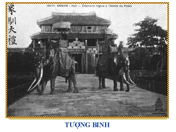 TƯỢNG BINH 