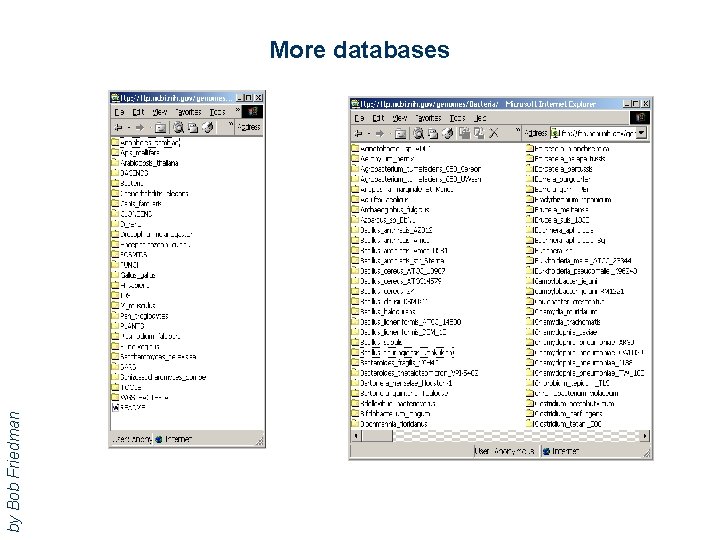 by Bob Friedman More databases 