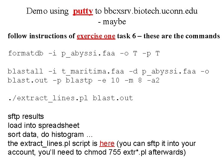 Demo using putty to bbcxsrv. biotech. uconn. edu - maybe follow instructions of exercise