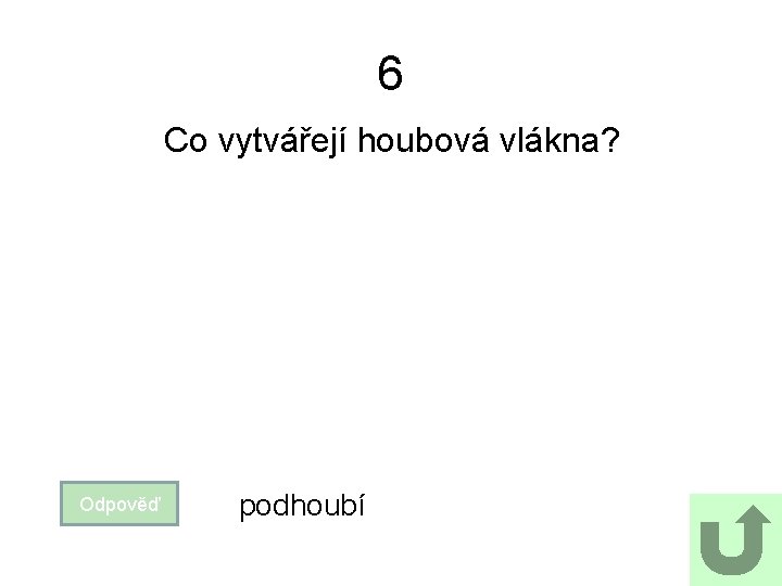 6 Co vytvářejí houbová vlákna? Odpověď podhoubí 