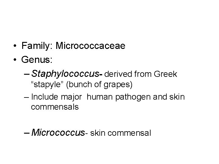  • Family: Micrococcaceae • Genus: – Staphylococcus- derived from Greek “stapyle” (bunch of