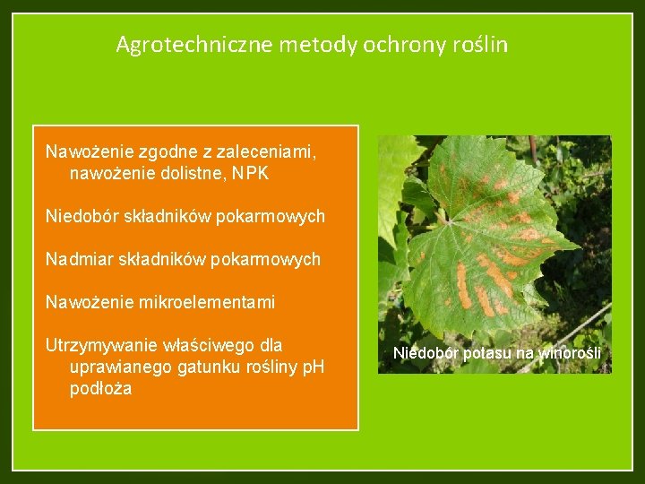 Agrotechniczne metody ochrony roślin Nawożenie zgodne z zaleceniami, nawożenie dolistne, NPK Niedobór składników pokarmowych