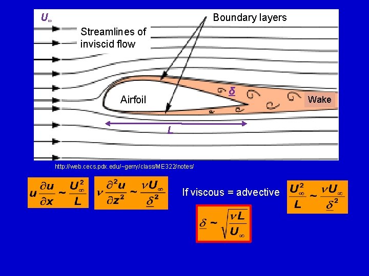 U∞ Boundary layers Streamlines of inviscid flow δ Airfoil L http: //web. cecs. pdx.