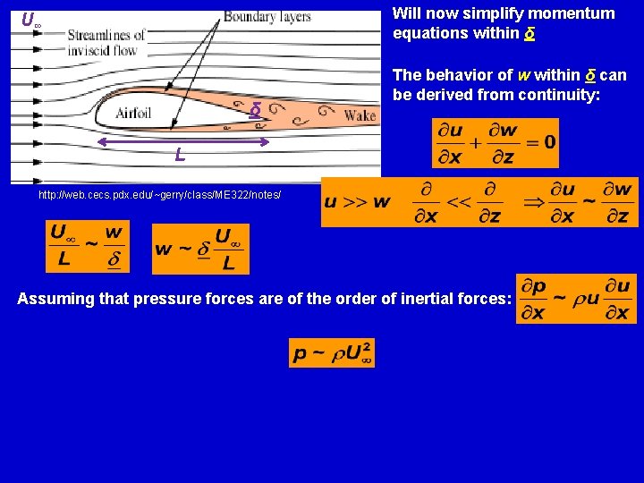 Will now simplify momentum equations within δ U∞ δ The behavior of w within