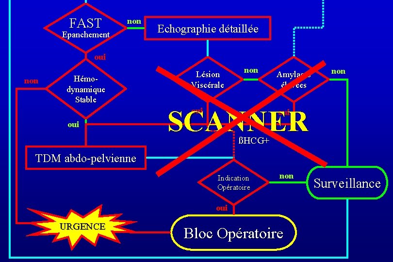 FAST non Epanchement Echographie détaillée oui non Hémodynamique Stable Lésion Viscérale non SCANNER oui