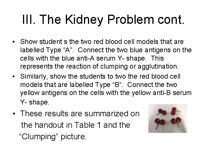 III. The Kidney Problem cont. • Show student s the two red blood cell