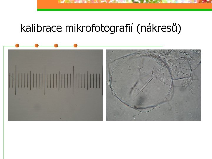 kalibrace mikrofotografií (nákresů) 