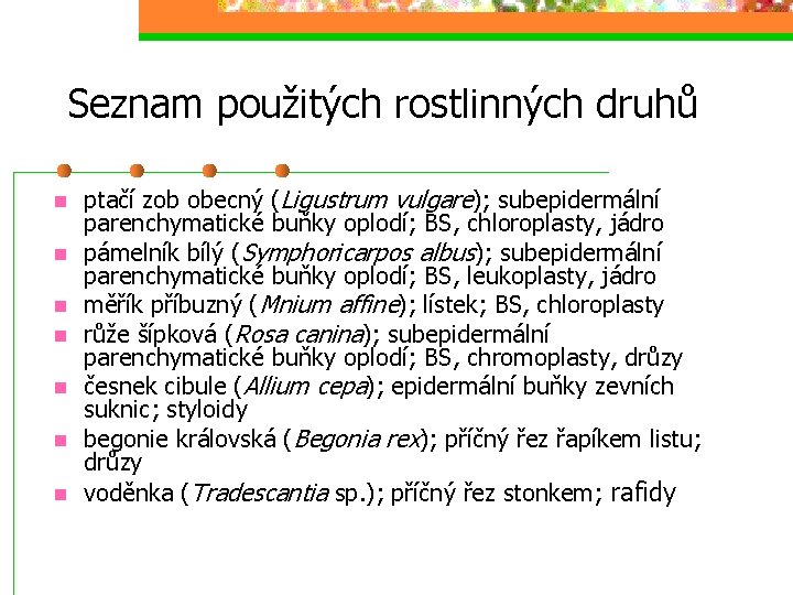 Seznam použitých rostlinných druhů n n n n ptačí zob obecný (Ligustrum vulgare); subepidermální