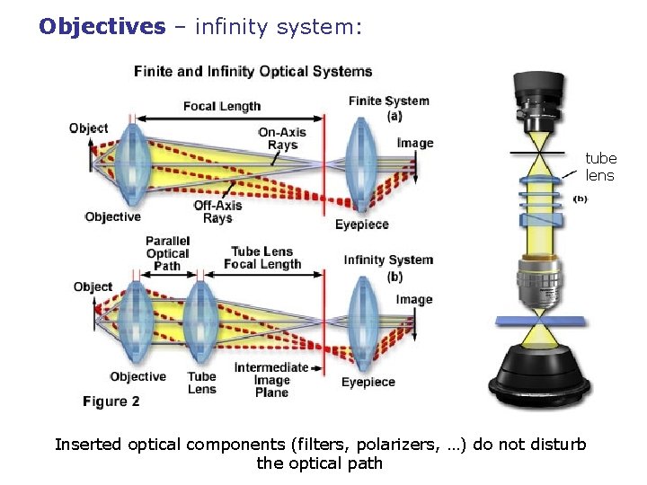 Objectives – infinity system: tube lens Inserted optical components (filters, polarizers, …) do not