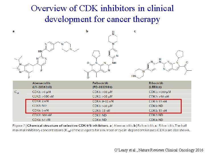 Overview of CDK inhibitors in clinical development for cancer therapy O’Leary et al. ,