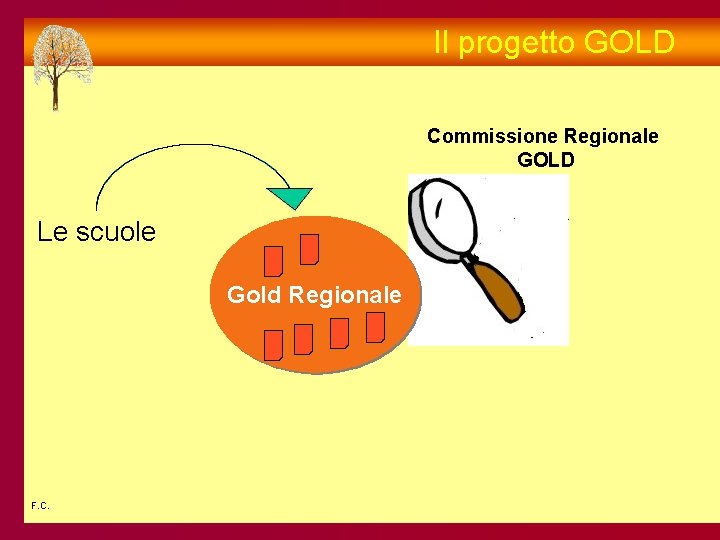 Il progetto GOLD Commissione Regionale GOLD Le scuole Gold Regionale F. C. 