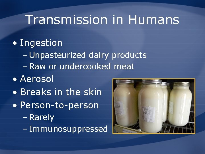 Transmission in Humans • Ingestion – Unpasteurized dairy products – Raw or undercooked meat