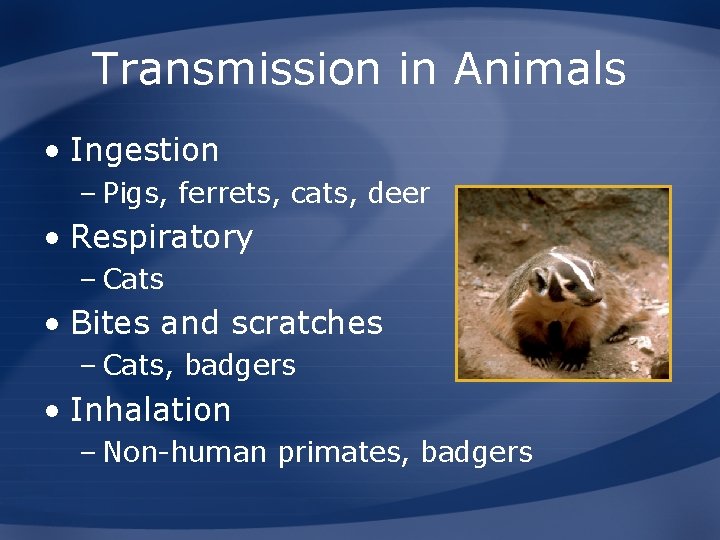 Transmission in Animals • Ingestion – Pigs, ferrets, cats, deer • Respiratory – Cats