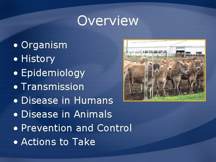 Overview • Organism • History • Epidemiology • Transmission • Disease in Humans •