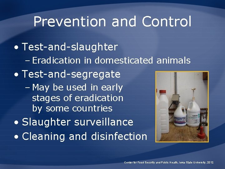 Prevention and Control • Test-and-slaughter – Eradication in domesticated animals • Test-and-segregate – May