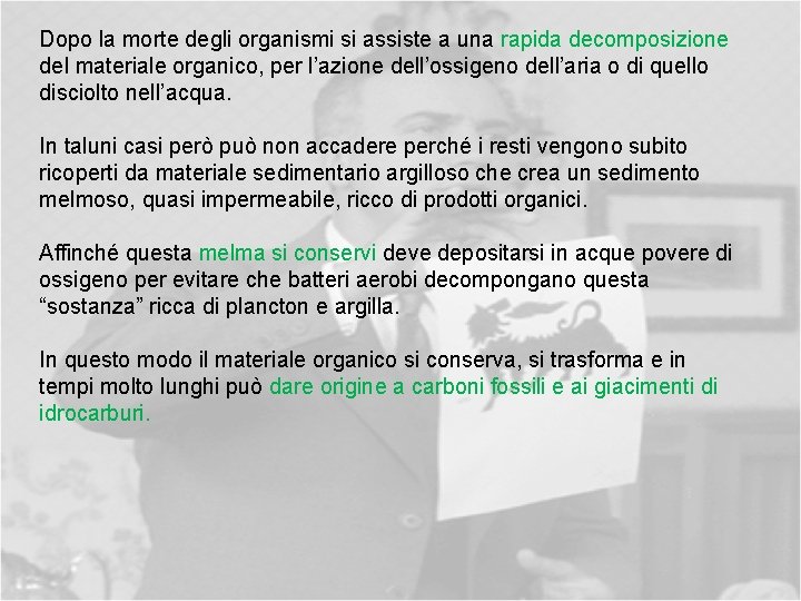 Dopo la morte degli organismi si assiste a una rapida decomposizione del materiale organico,