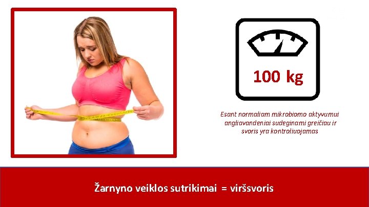 100 kg Esant normaliam mikrobiomo aktyvumui angliavandeniai sudeginami greičiau ir svoris yra kontroliuojamas www.