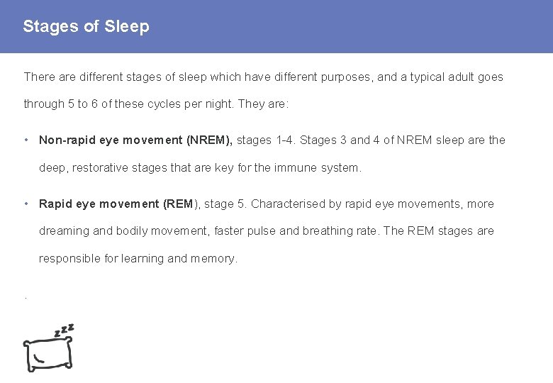 Stages of Sleep There are different stages of sleep which have different purposes, and