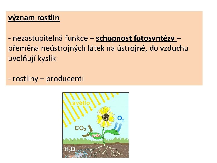 význam rostlin - nezastupitelná funkce – schopnost fotosyntézy – přeměna neústrojných látek na ústrojné,