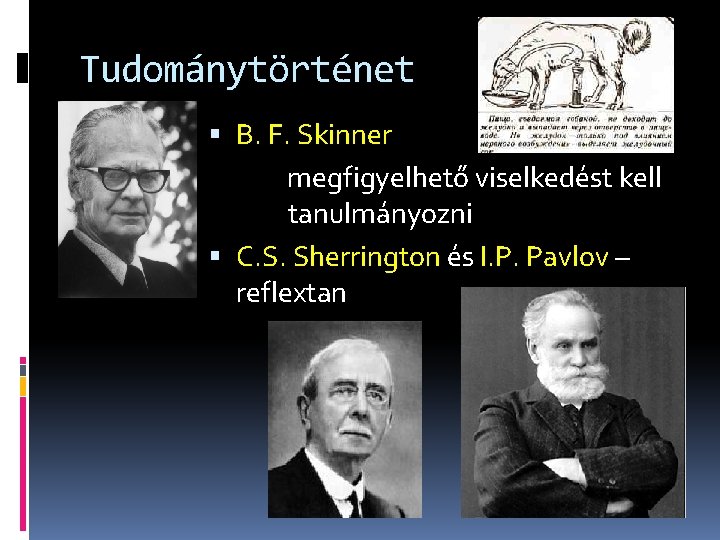 Tudománytörténet B. F. Skinner megfigyelhető viselkedést kell tanulmányozni C. S. Sherrington és I. P.