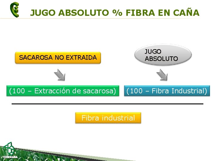 JUGO ABSOLUTO % FIBRA EN CAÑA JUGO ABSOLUTO SACAROSA NO EXTRAIDA (100 – Extracción