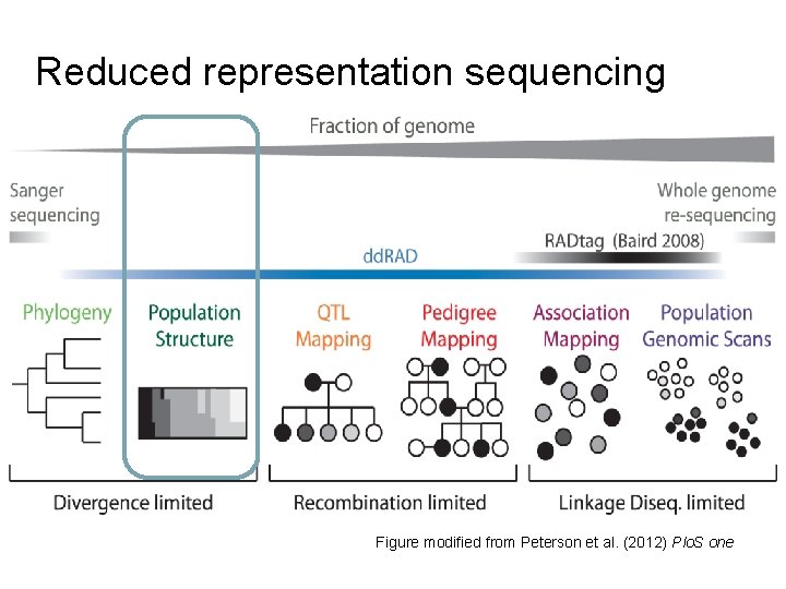 Reduced representation sequencing Figure modified from Peterson et al. (2012) Plo. S one 