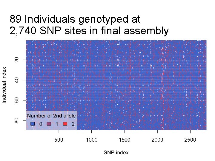 89 Individuals genotyped at 2, 740 SNP sites in final assembly 