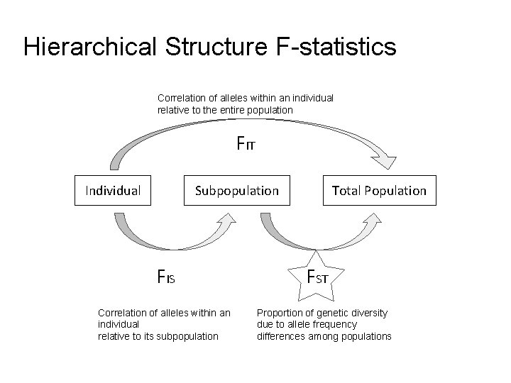 Hierarchical Structure F-statistics Correlation of alleles within an individual relative to the entire population