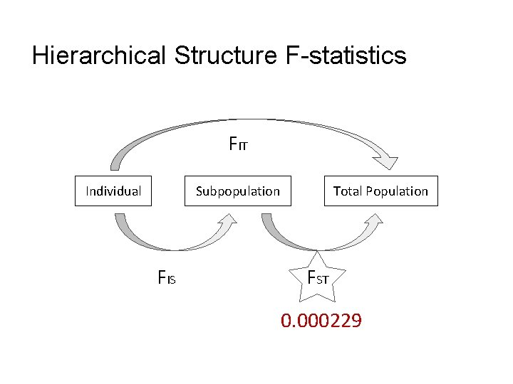 Hierarchical Structure F-statistics FIT Individual Subpopulation FIS Total Population FST 0. 000229 