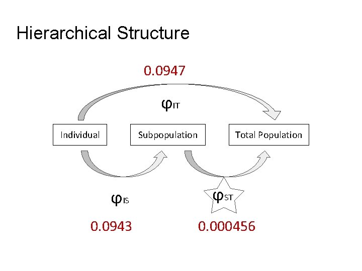 Hierarchical Structure 0. 0947 ϕIT Individual Subpopulation ϕIS 0. 0943 Total Population ϕST 0.