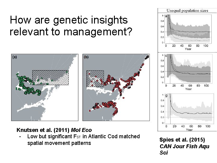 How are genetic insights relevant to management? Knutsen et al. (2011) Mol Eco -