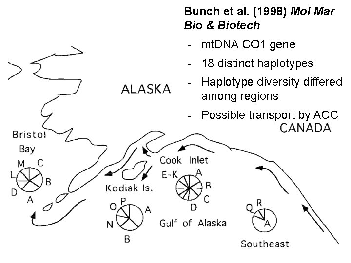 Bunch et al. (1998) Mol Mar Bio & Biotech - mt. DNA CO 1