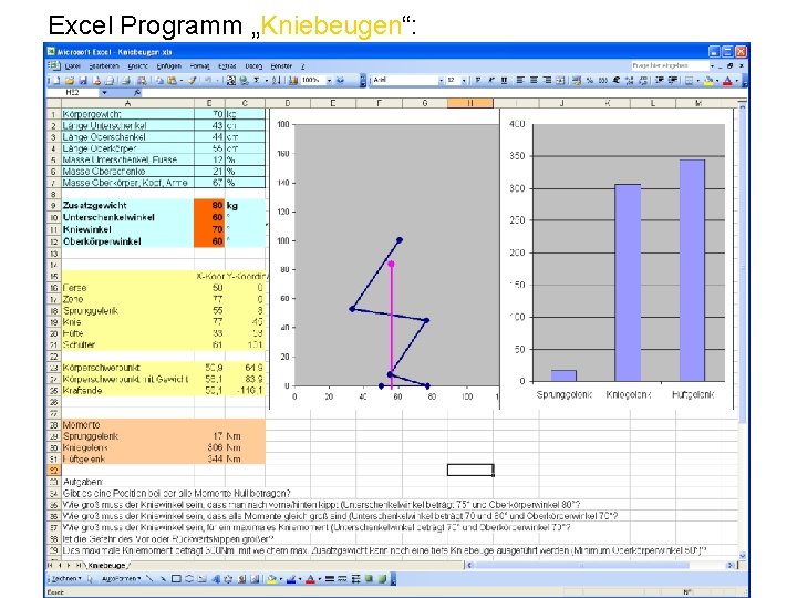 Excel Programm „Kniebeugen“: 