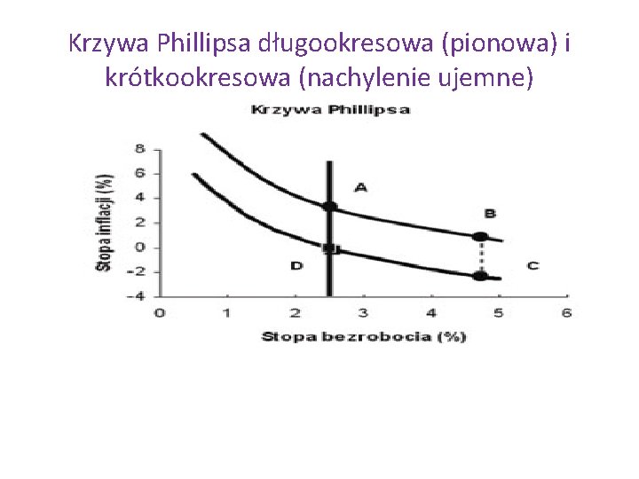 Krzywa Phillipsa długookresowa (pionowa) i krótkookresowa (nachylenie ujemne) 